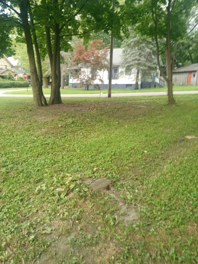 Local residential landscaping for residential properties in Madison, OH by Big Reds Landscaping