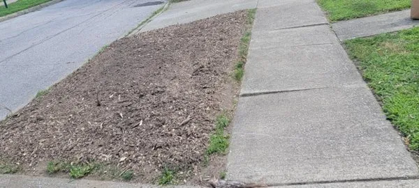 Big Reds Landscaping