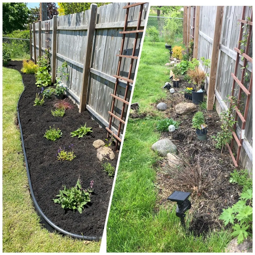 Expert lawn care service for beautiful yards across Buffalo, NY - BIG REDS PROPERTY SERVICES