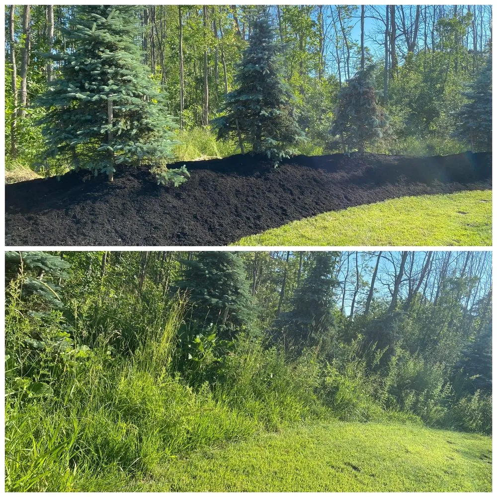 Custom lawn mowing service experts serving Buffalo, NY - BIG REDS PROPERTY SERVICES