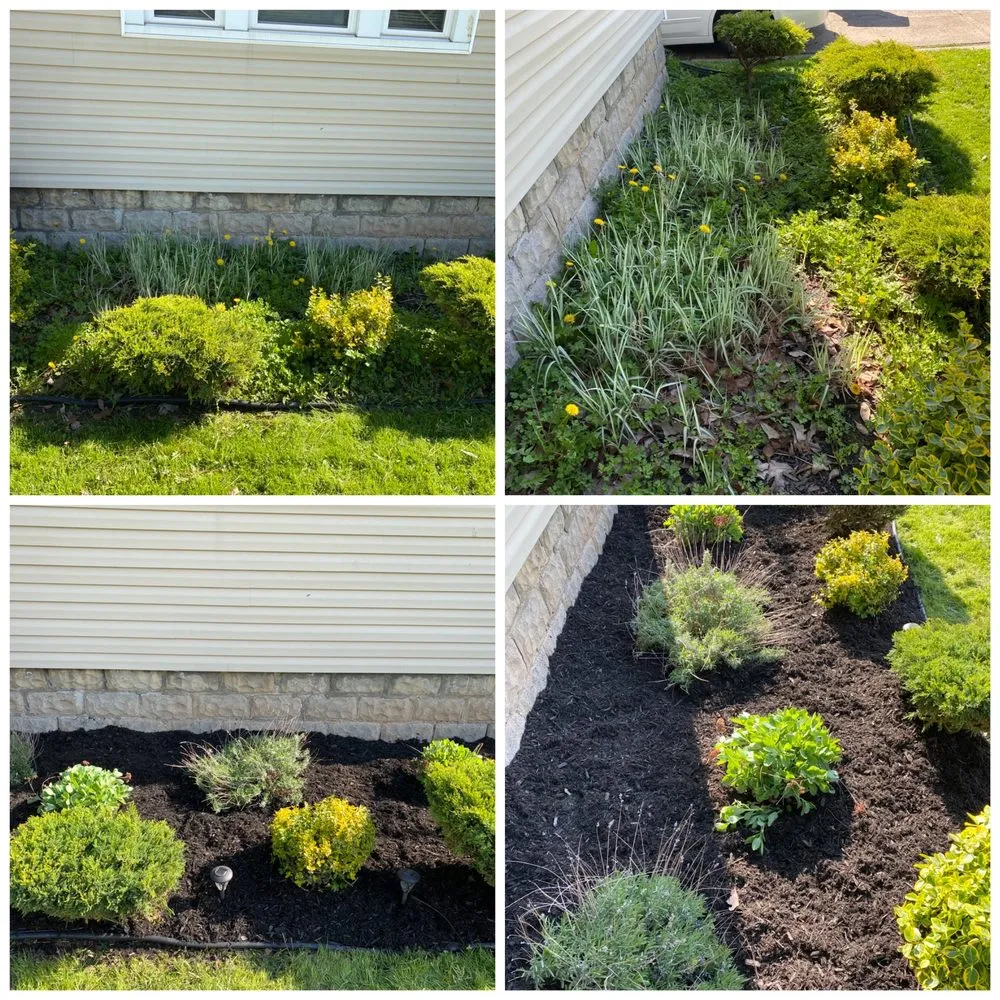 Expert residential landscaping for beautiful yards in Buffalo, NY by BIG REDS PROPERTY SERVICES