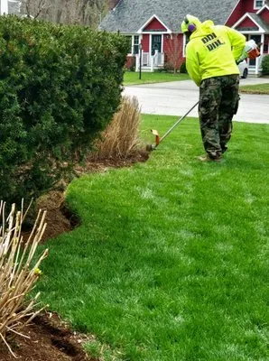 Big Rigg Lawnscaping Logo