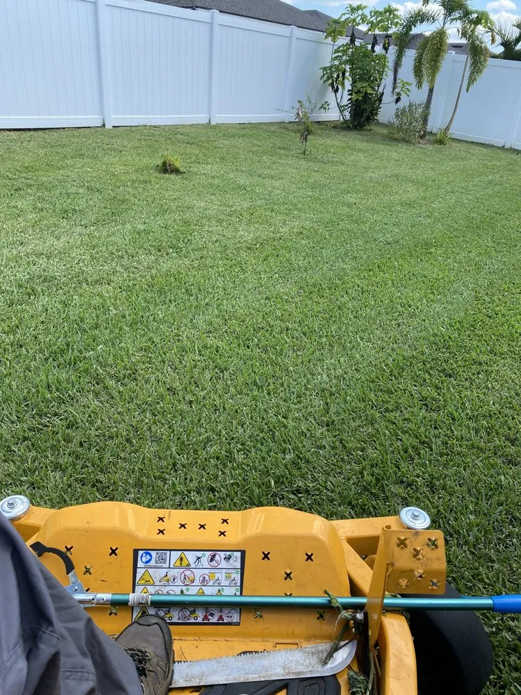 Expert yard maintenance for beautiful yards in St. Petersburg, FL by Big Rob Lawn Care