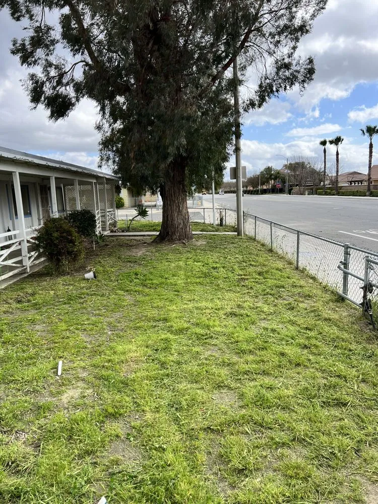 Professional outdoor landscaping in Valle Vista, CA by Big Robs Gardening