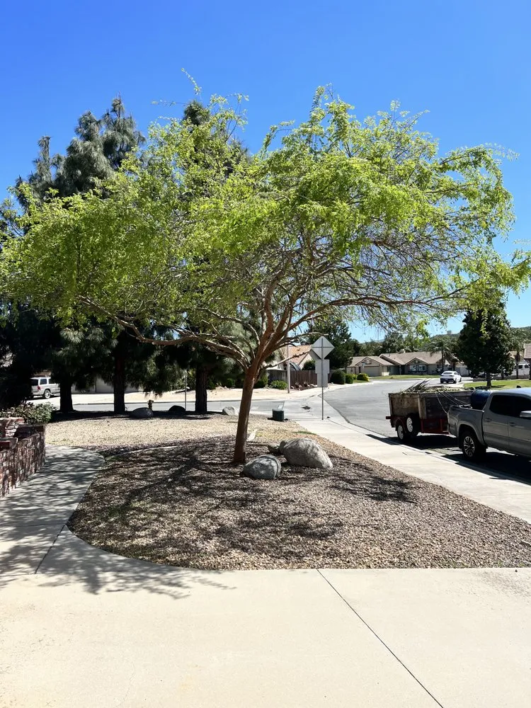 Custom garden landscaping for homes in Valle Vista, CA by Big Robs Gardening