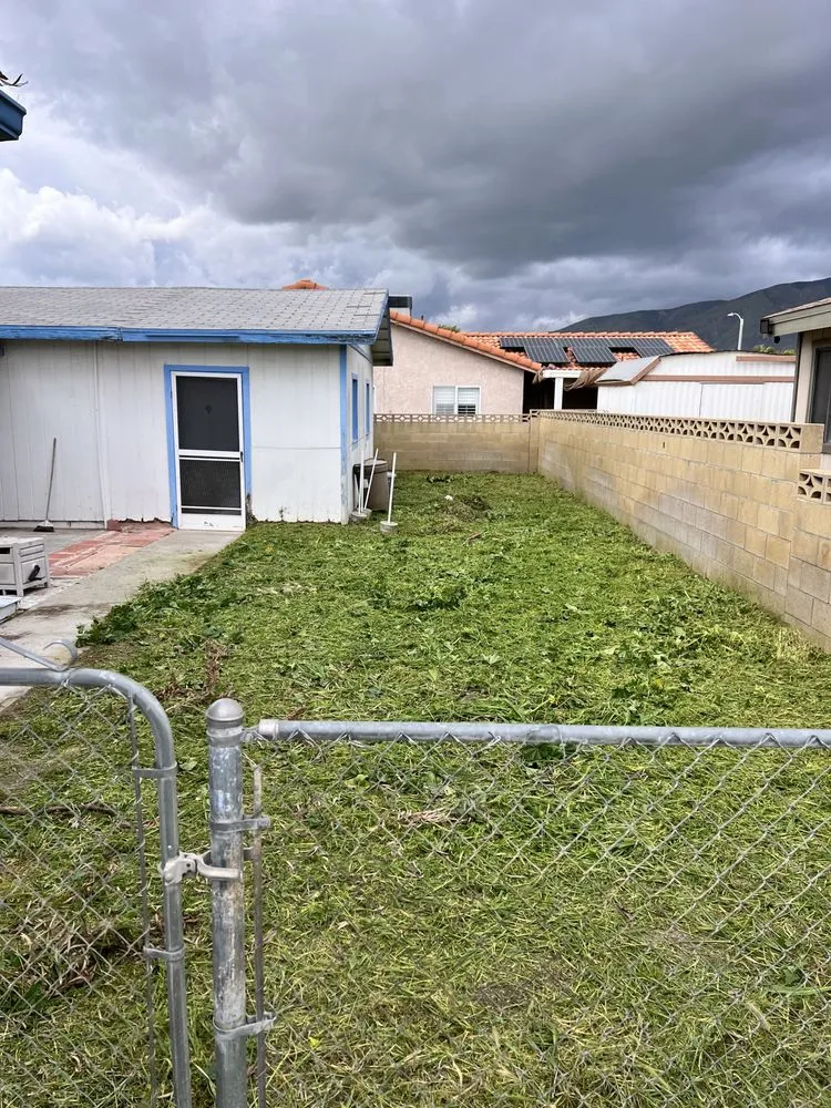 Professional lawn care service for outdoor upgrades in Valle Vista, CA by Big Robs Gardening