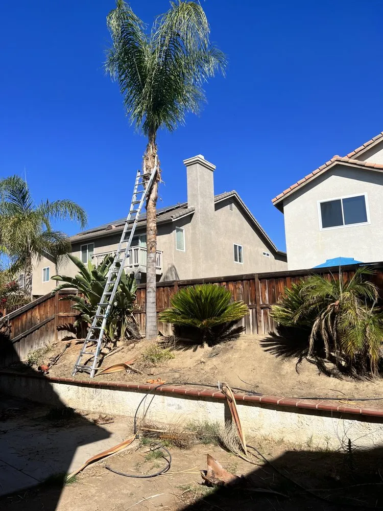 Reliable yard cleanup service for residential properties in Valle Vista, CA by Big Robs Gardening
