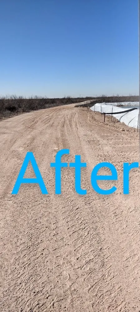 Top-rated yard cleanup service experts serving Odessa, TX - Big Robs Landscaping And Services