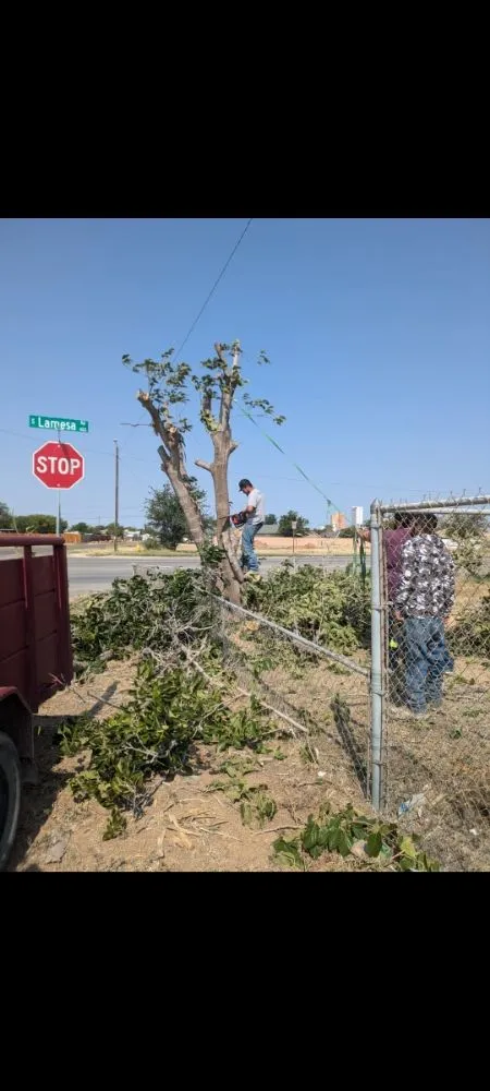 Affordable yard cleanup service with custom design in Odessa, TX by Big Robs Landscaping And Services