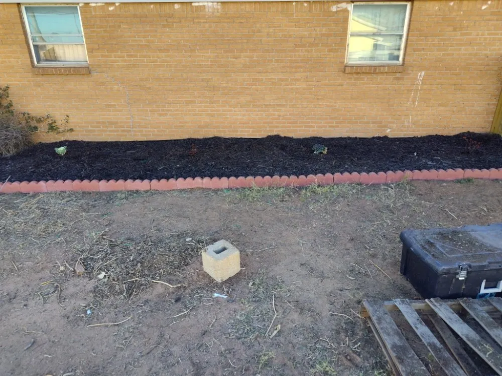 Trusted yard maintenance in Odessa, TX by Big Robs Landscaping And Services