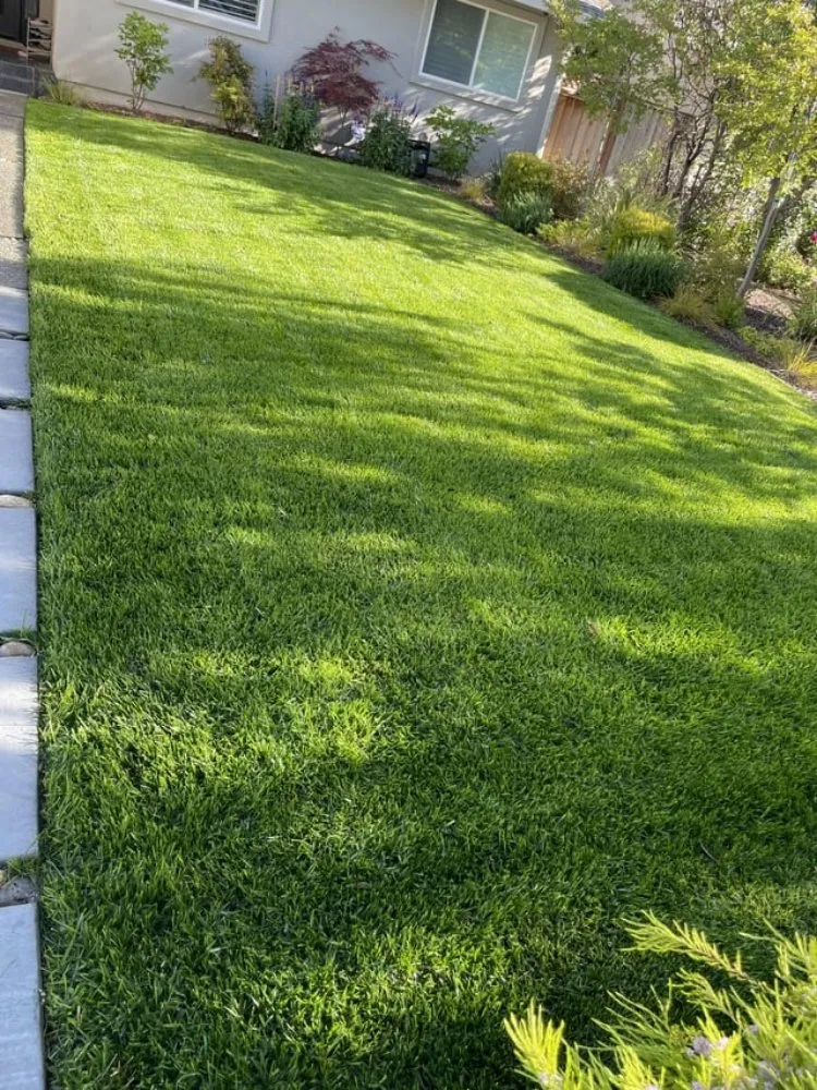 Reliable landscape installation for homes across Odessa, TX - Big Robs Landscaping And Services