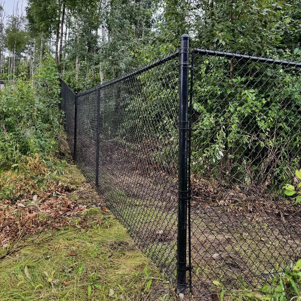 Local yard cleanup service for residential properties across Anchorage, AK - Big Rock Builders