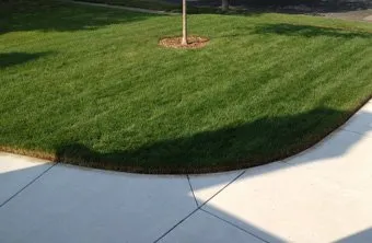 Custom yard cleanup service near you in Kearney, NE by Big Sam Tree Prunning And More