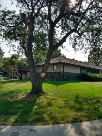 Top-rated outdoor landscaping in Kearney, NE by Big Sam Tree Prunning And More