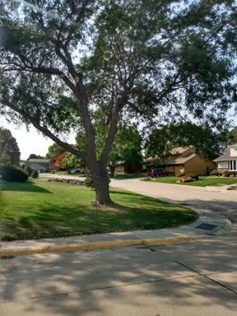 Trusted landscape design experts serving Kearney, NE - Big Sam Tree Prunning And More