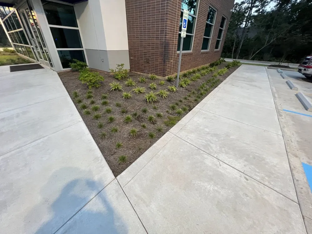 Affordable lawn mowing service in New Orleans, LA by Big Shane's Lawncare