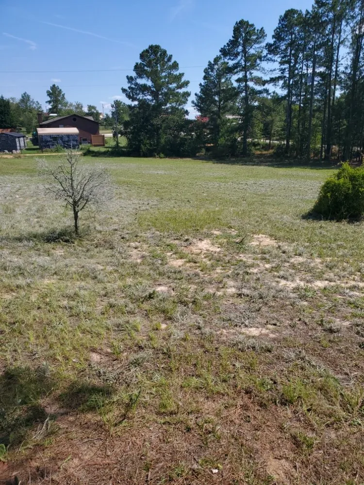 Reliable yard cleanup service for outdoor upgrades in Graniteville, SC by Big Sims Lawn Catering