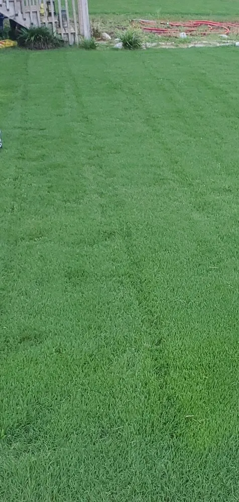 Affordable garden landscaping in Graniteville, SC by Big Sims Lawn Catering