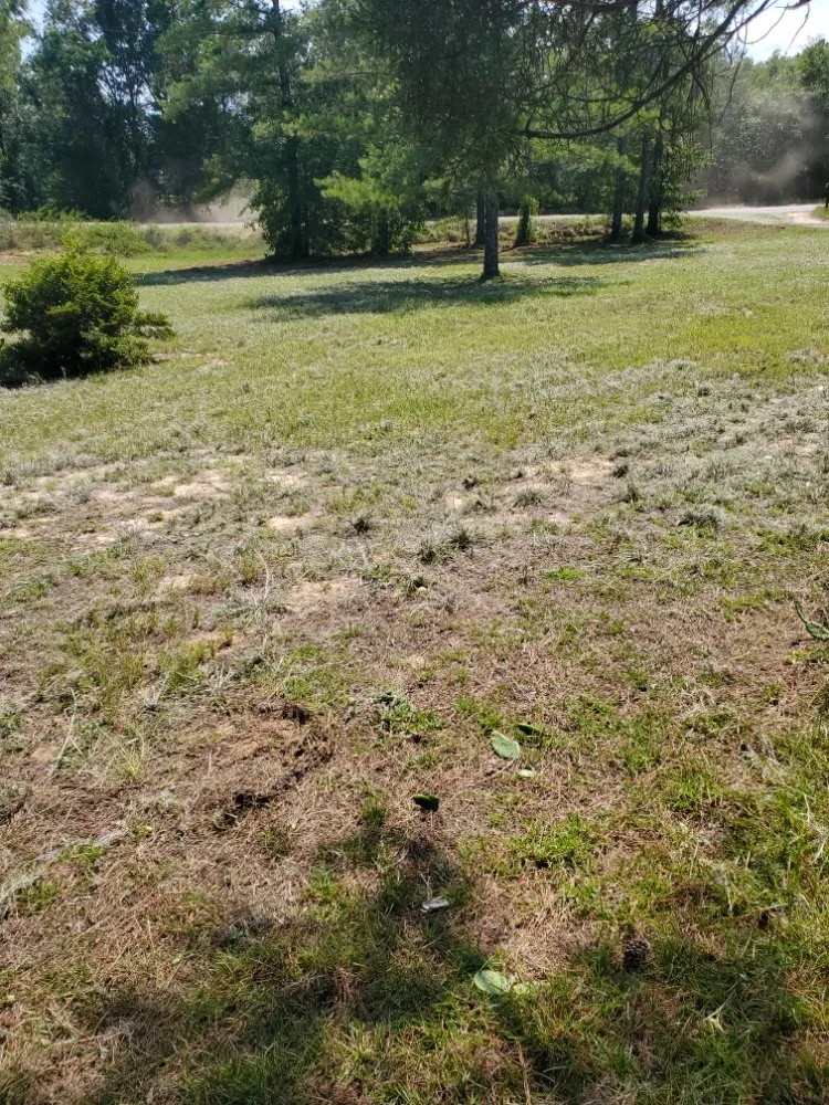 Top-rated landscape design in Graniteville, SC by Big Sims Lawn Catering