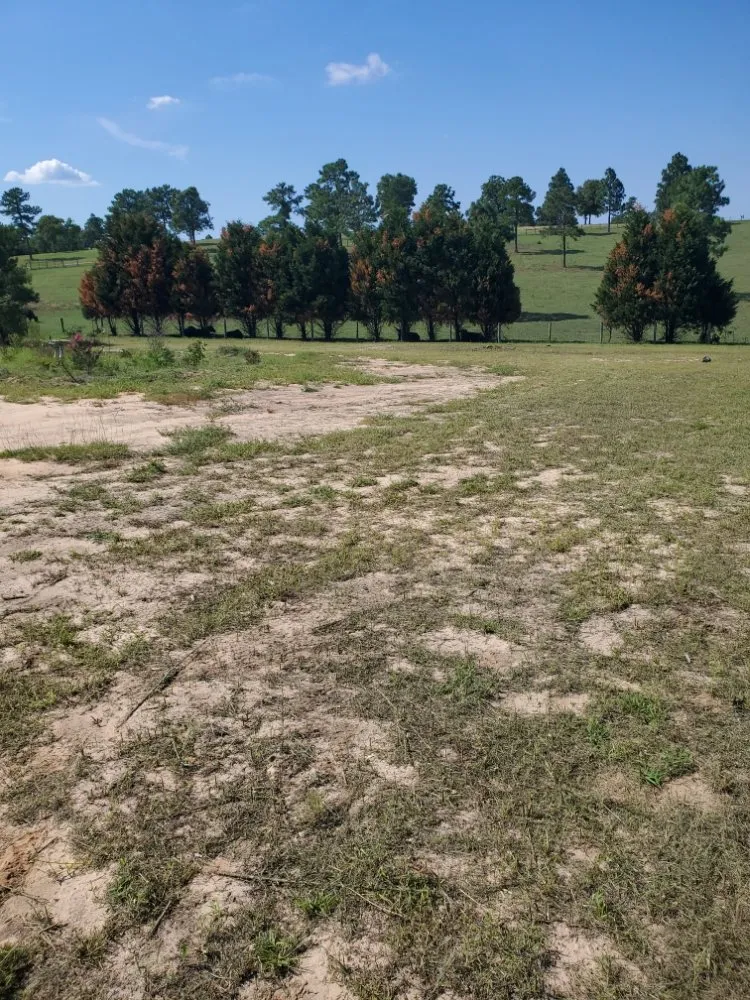 Top-rated lawn mowing service in Graniteville, SC by Big Sims Lawn Catering