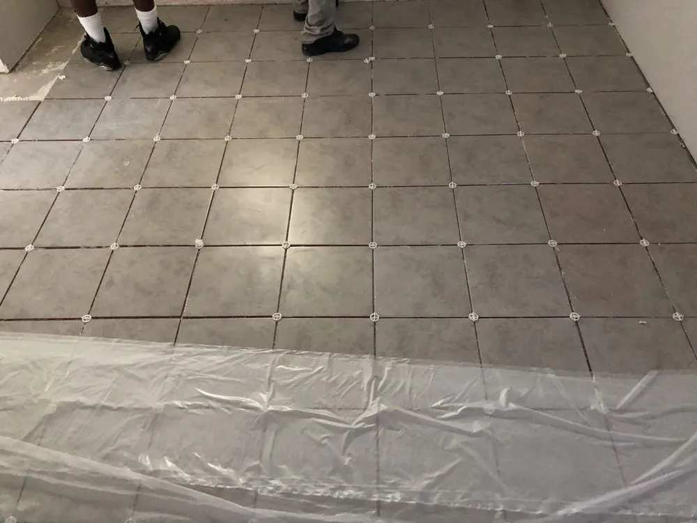 Local yard cleanup service in Clearwater, FL - Big Steppers