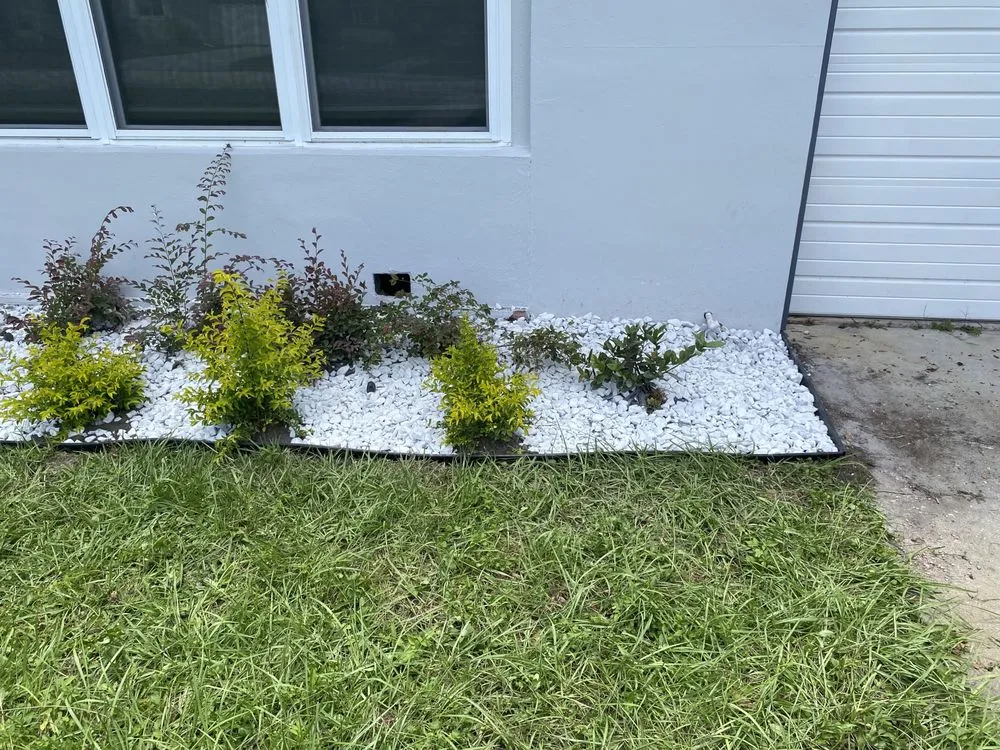 Top-rated yard maintenance experts serving Clearwater, FL - Big Steppers