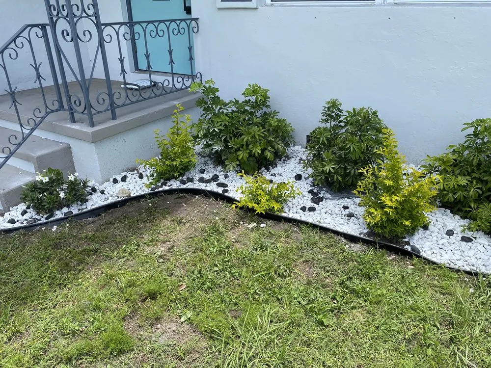 Reliable outdoor landscaping experts serving Clearwater, FL - Big Steppers