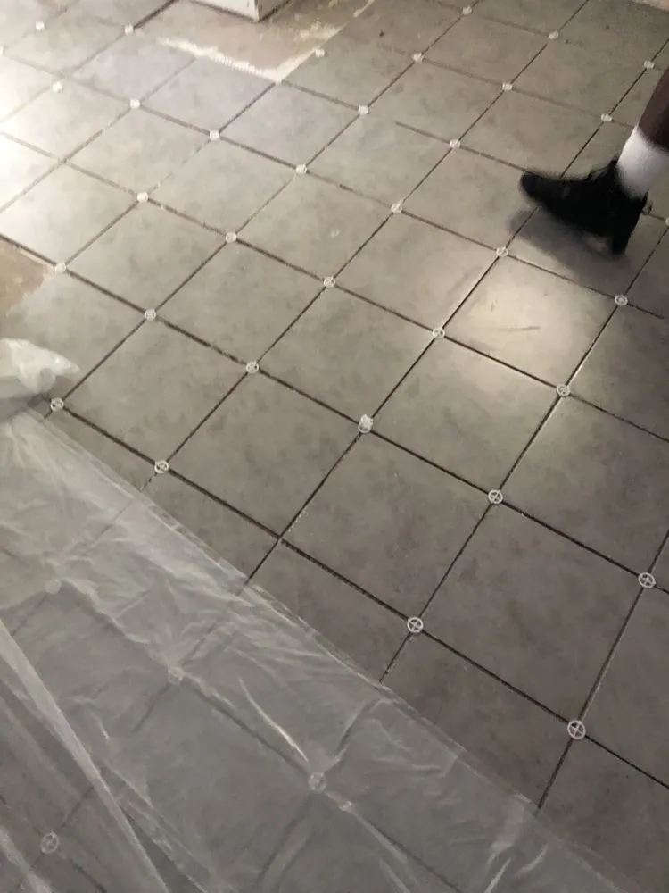 Expert residential landscaping experts serving Clearwater, FL - Big Steppers