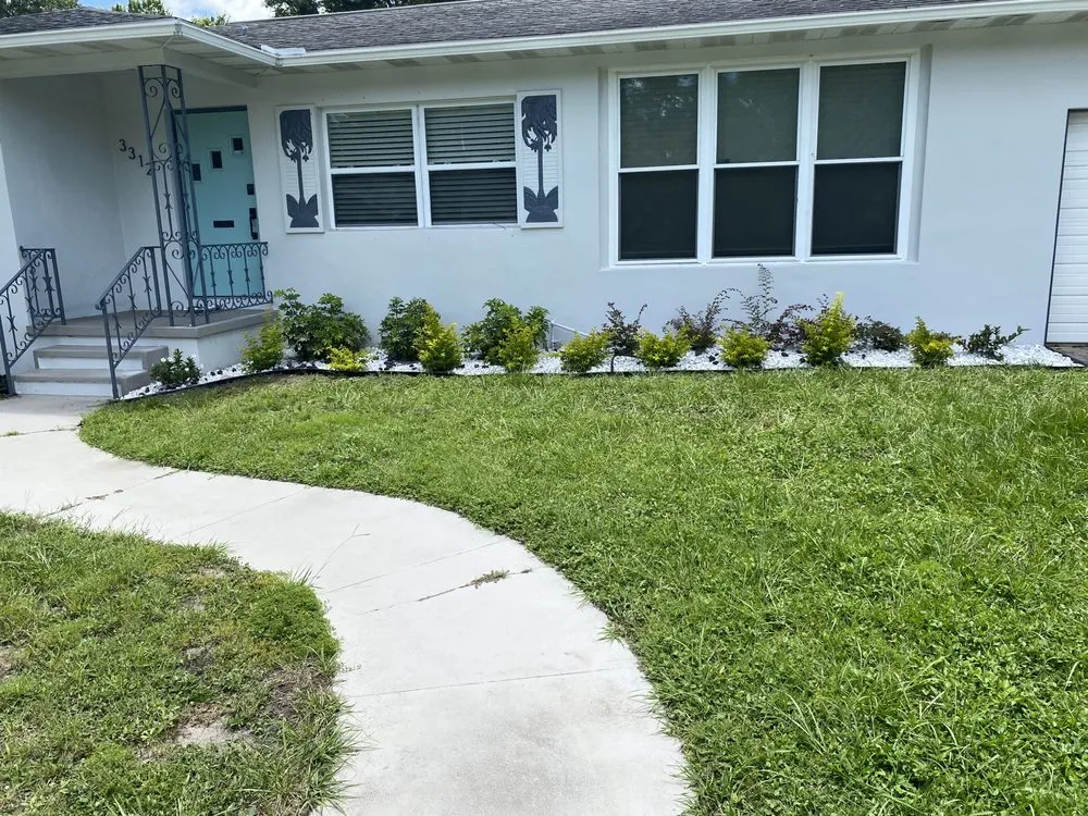 Local yard cleanup service experts serving Clearwater, FL - Big Steppers
