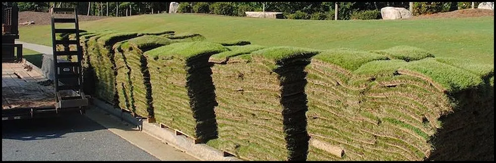 Affordable garden landscaping for year-round maintenance across Ellenton, FL - Big T Sod