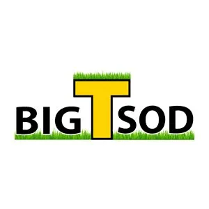 Expert yard cleanup service experts serving Ellenton, FL - Big T Sod