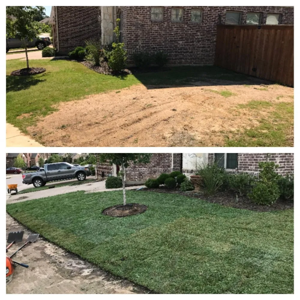 Custom lawn care service in Grapevine, TX by Big Tex Pro Landscape