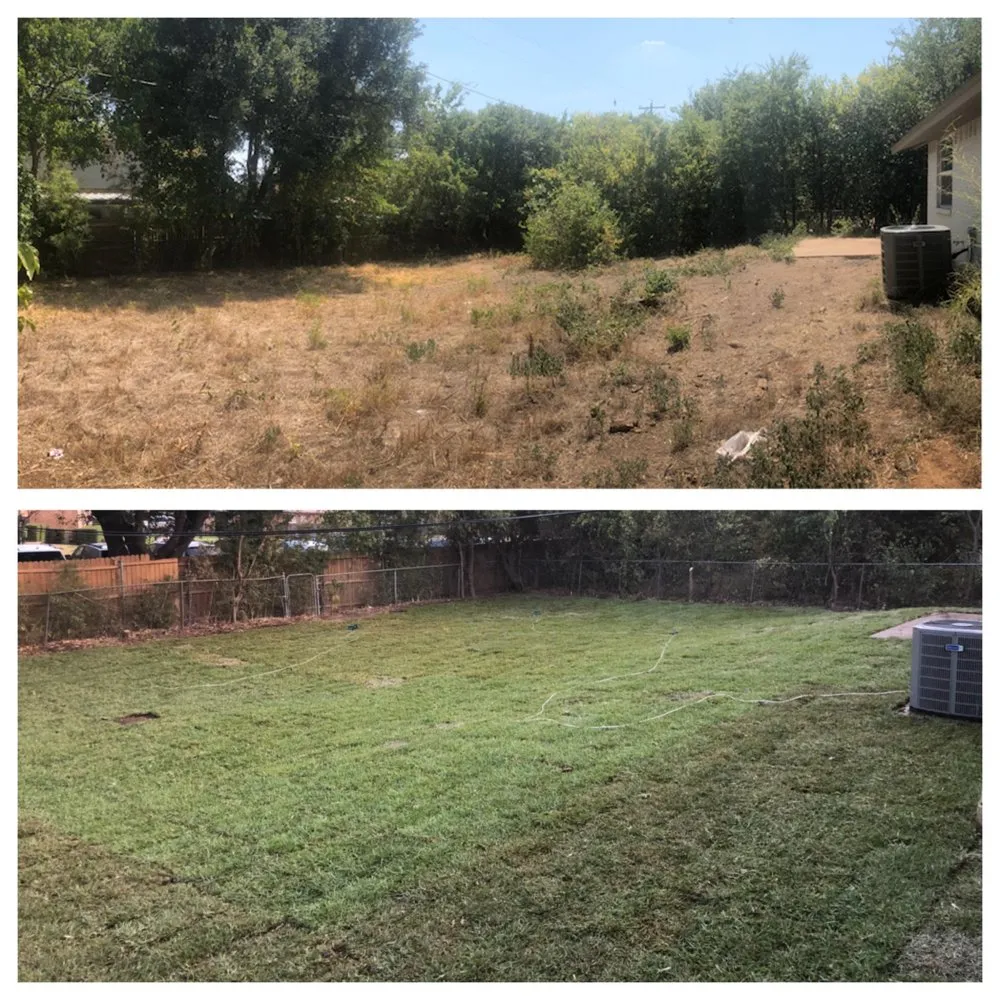 Top-rated yard maintenance for homes in Grapevine, TX by Big Tex Pro Landscape
