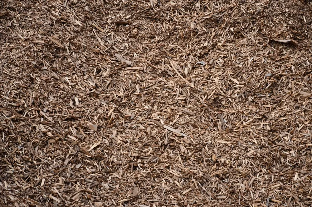 Affordable lawn mowing service in Fort Worth, TX by Big Tex Stone