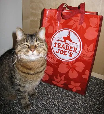 Trusted landscape design in Fort Worth, TX by Big Tex Stone