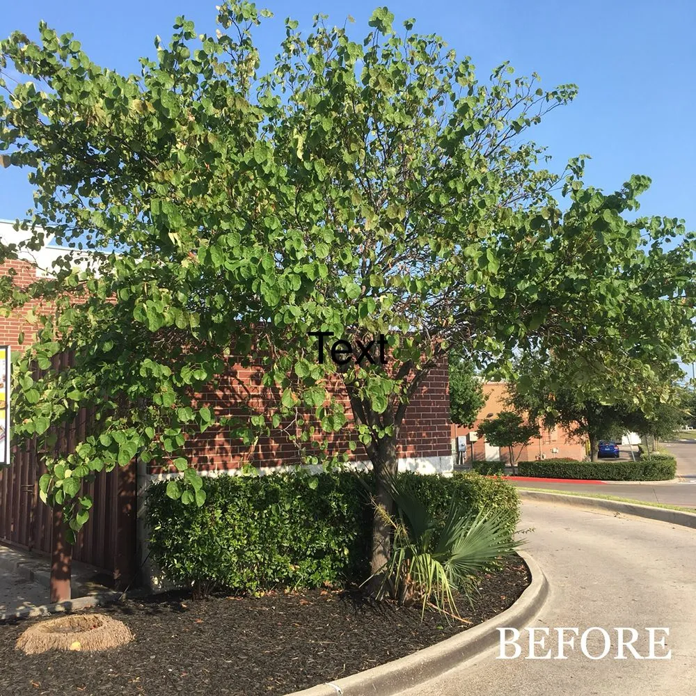 Top-rated garden landscaping in Waxahachie, TX - Big Tex Tree & Landscaping