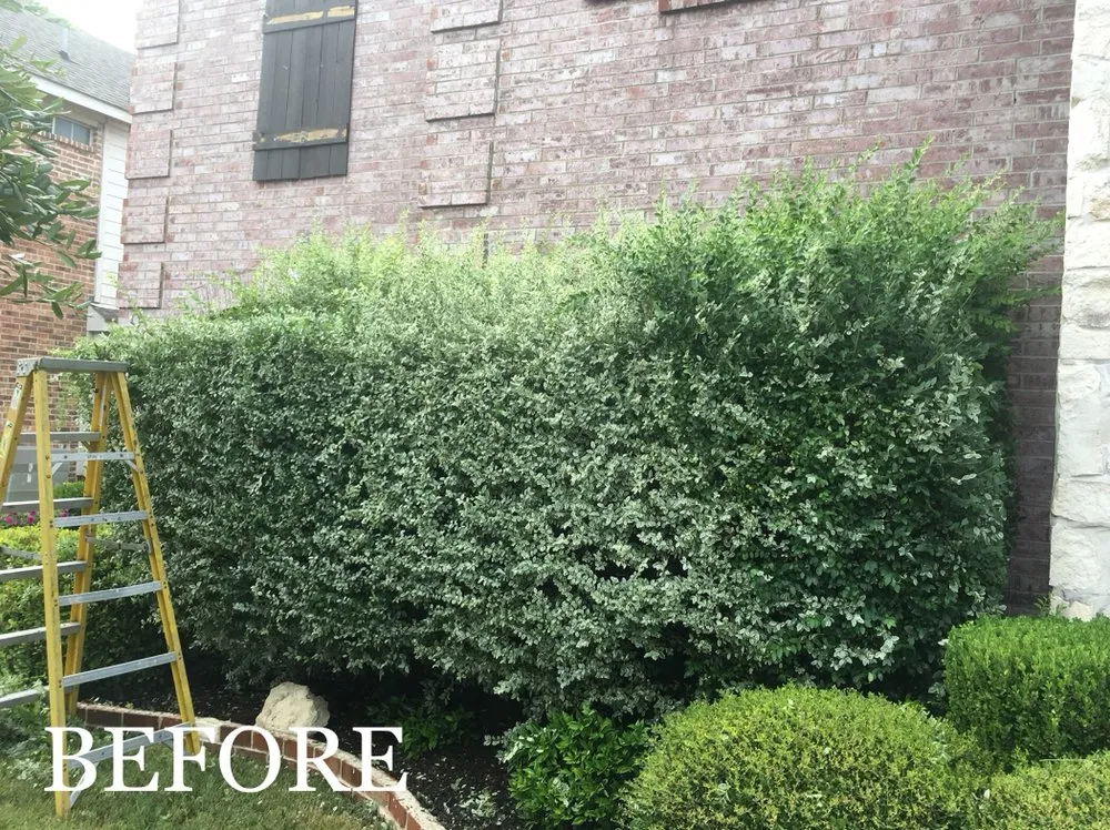 Trusted landscape installation in Waxahachie, TX - Big Tex Tree & Landscaping