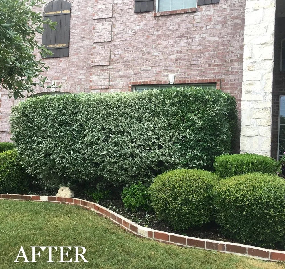 Trusted lawn care service in Waxahachie, TX - Big Tex Tree & Landscaping