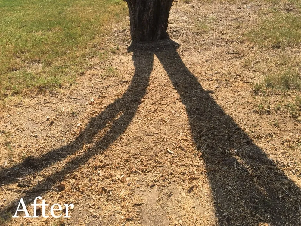 Top-rated landscape installation in Waxahachie, TX - Big Tex Tree & Landscaping