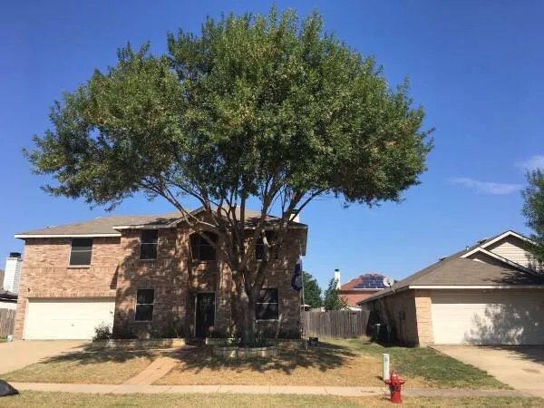 Trusted residential landscaping with custom design across Waxahachie, TX - Big Tex Tree & Landscaping