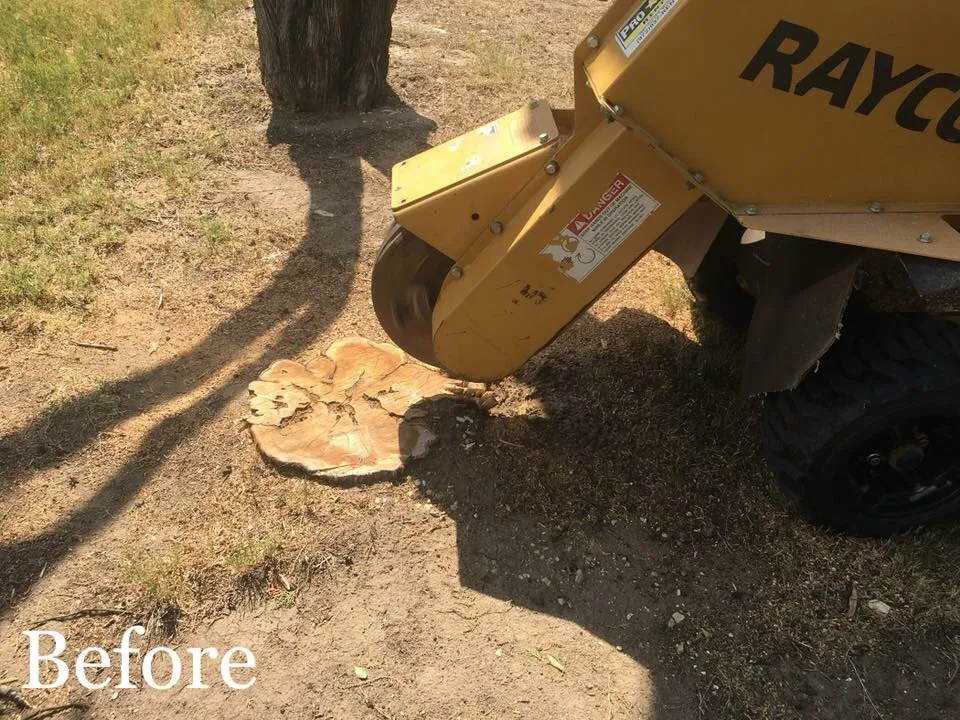 Reliable residential landscaping in Waxahachie, TX - Big Tex Tree & Landscaping