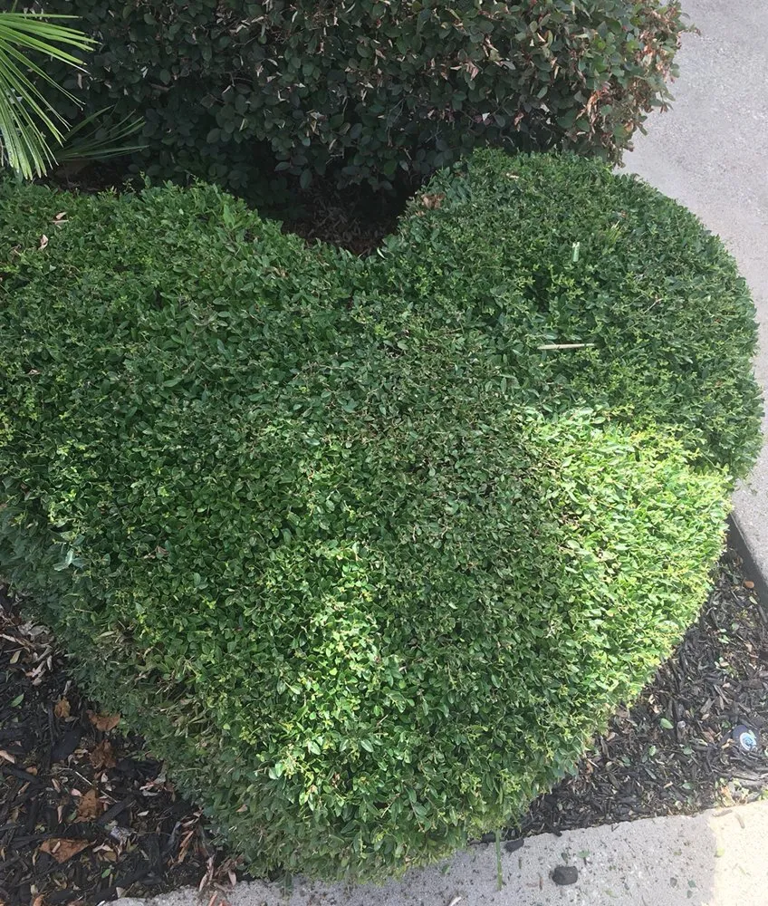 Professional lawn care service in Waxahachie, TX by Big Tex Tree & Landscaping