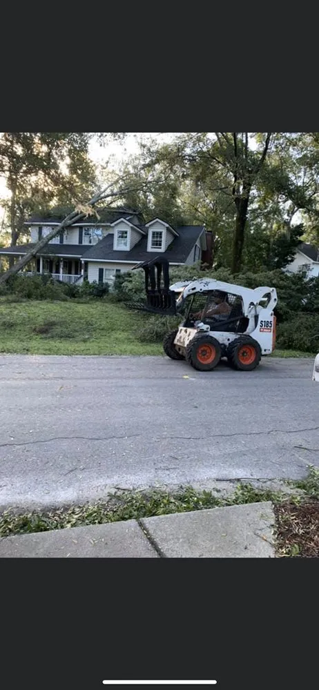 Expert yard maintenance in Katy, TX by Big Tex Tree Service and Landscaping