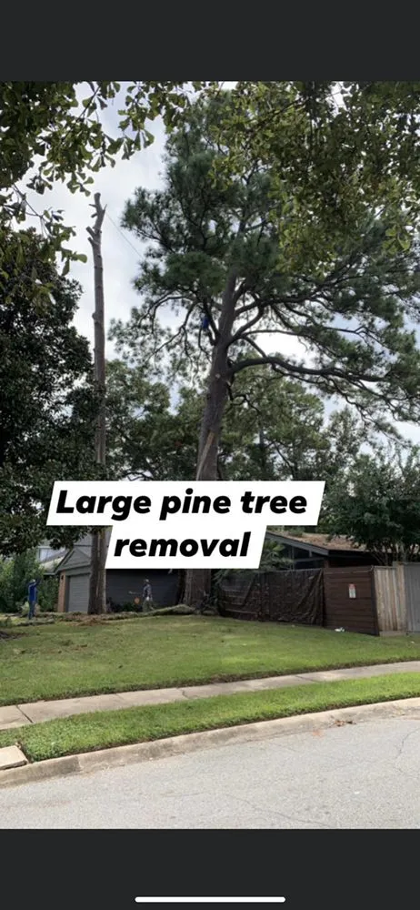 Reliable residential landscaping for beautiful yards across Katy, TX - Big Tex Tree Service and Landscaping