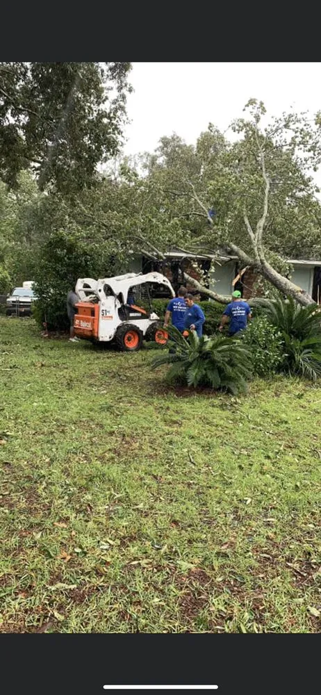 Trusted lawn care service for residential properties across Katy, TX - Big Tex Tree Service and Landscaping