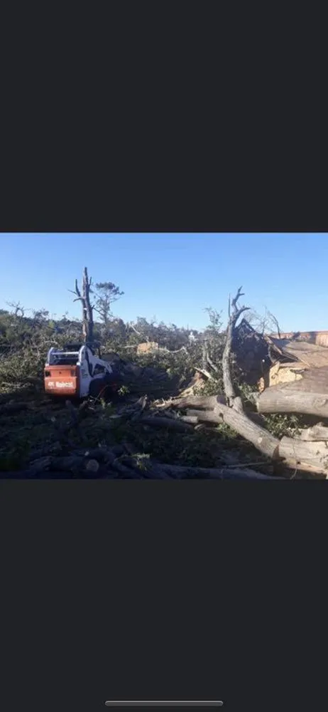 Expert residential landscaping in Katy, TX by Big Tex Tree Service and Landscaping