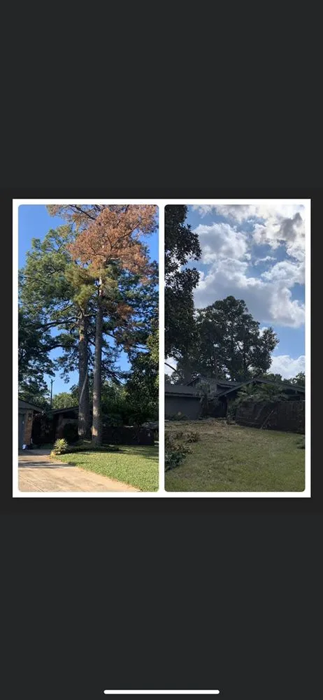 Local landscape design in Katy, TX - Big Tex Tree Service and Landscaping