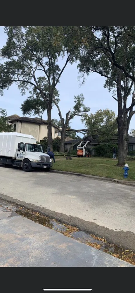 Professional landscaping services for homes in Katy, TX by Big Tex Tree Service and Landscaping