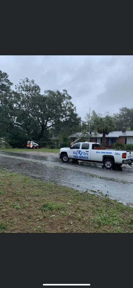 Local yard maintenance in Katy, TX by Big Tex Tree Service and Landscaping