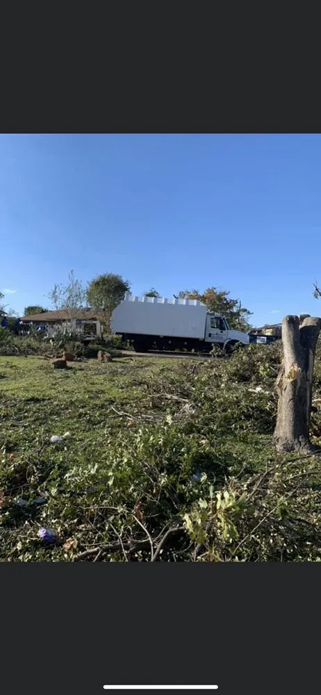 Top-rated landscape installation experts serving Katy, TX - Big Tex Tree Service and Landscaping